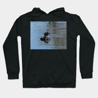 Loon on the water Hoodie